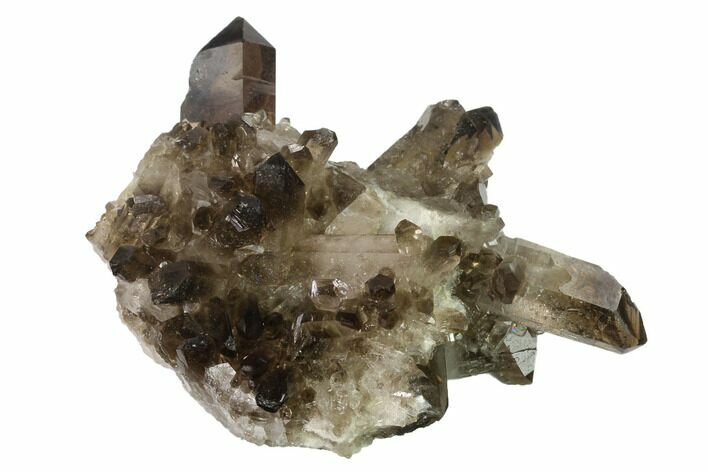 Dark Smoky Quartz Crystal Cluster - Brazil #138462